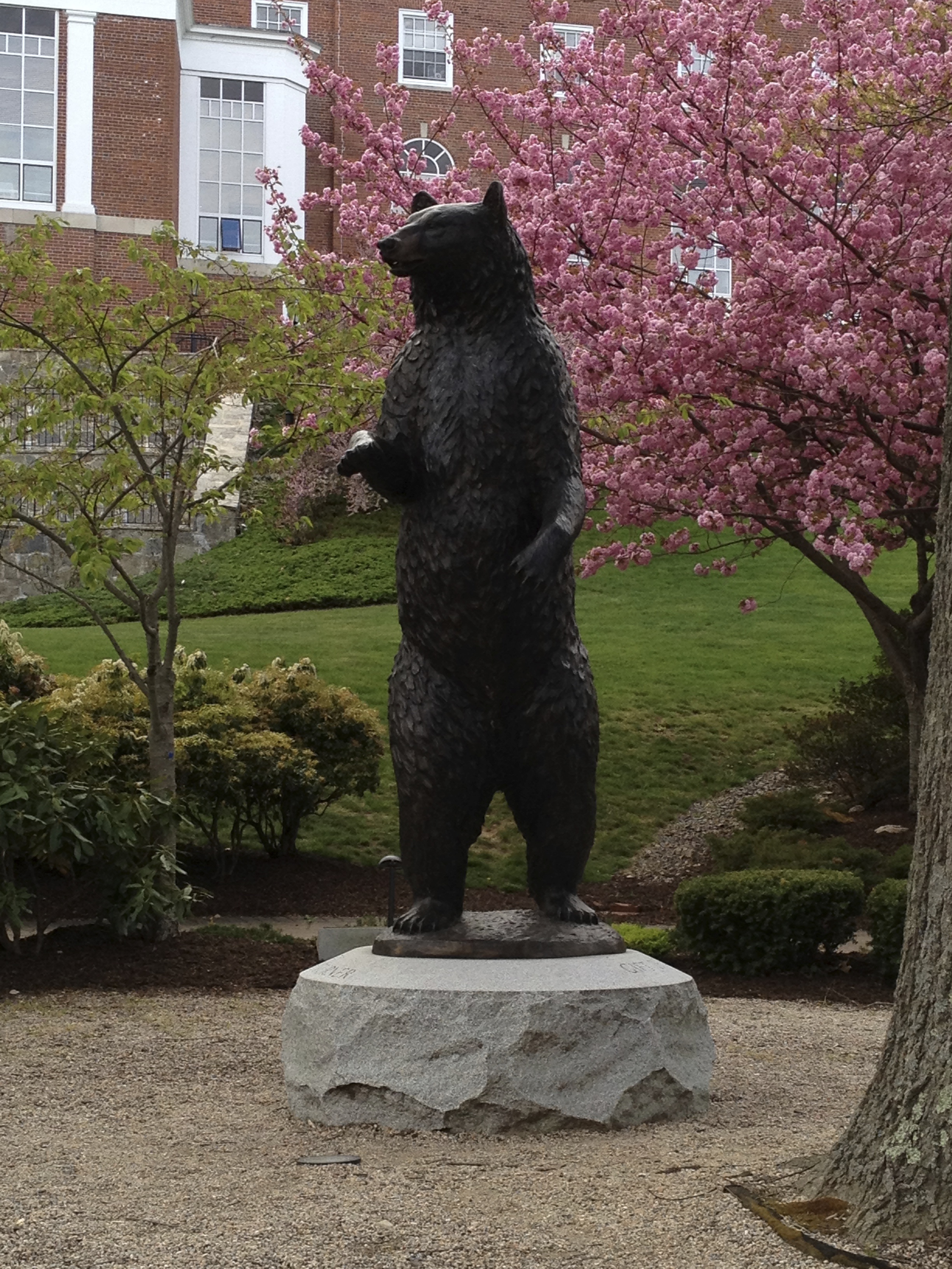 Bear statue on the grounds of the U.S. Coast Guard Academy in New London, CT. April 2012.